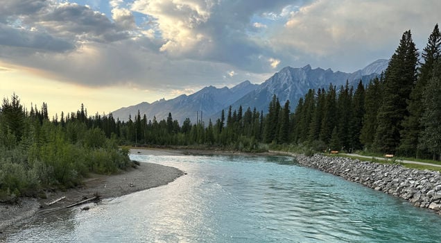 Summer Gallery Img 3