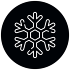 Winter Icon CTA