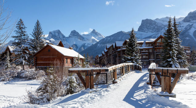 Winter Gallery Image 3 New