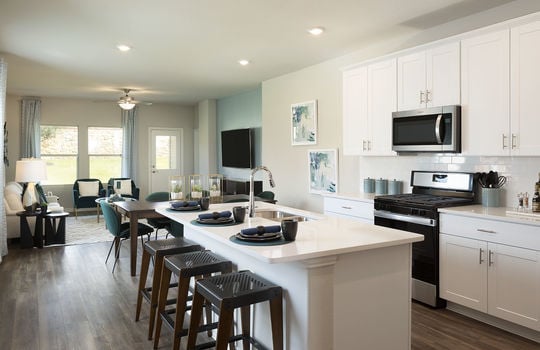 DFWBriarwoodHillsL345CarlsbadLiVENOWCrisp2KITDRLRweb