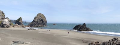 Oregon Coastline Panorama And Rocks Near Coos Bay Oregon