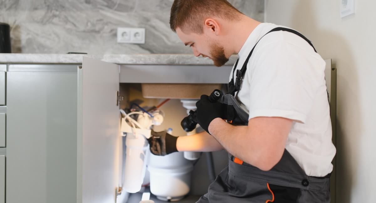 Professional Inspection