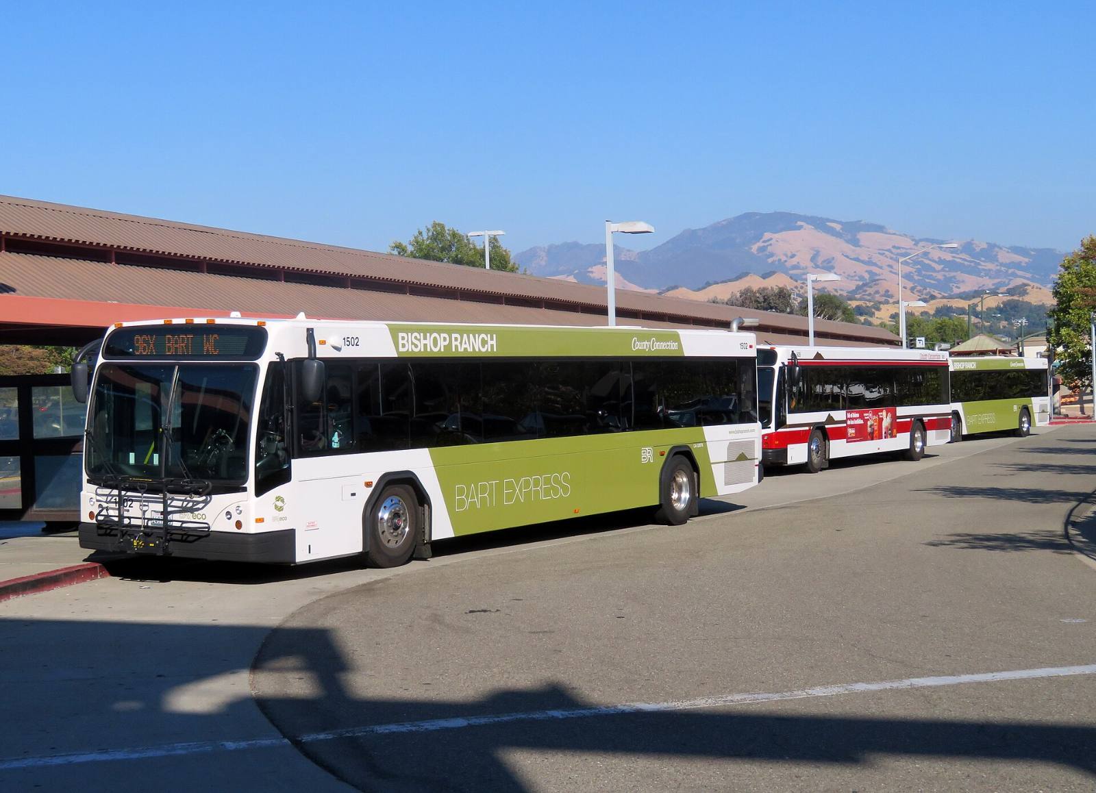 County Connection Bishop Ranch BART express buses waiting at Walnut Creek BART station, August 2018