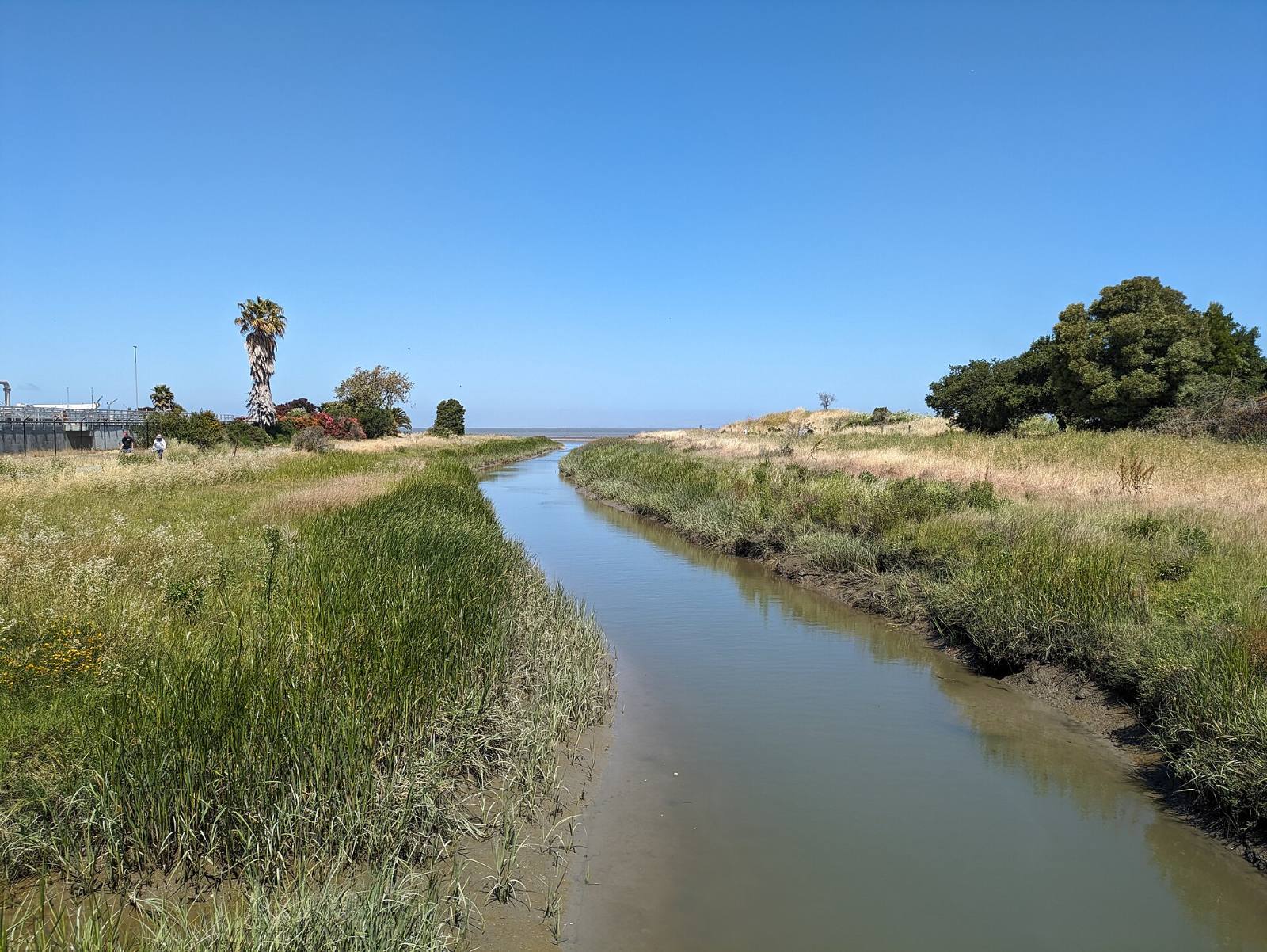 Pinole Creek near its mouth in Pinole, California, 2024
