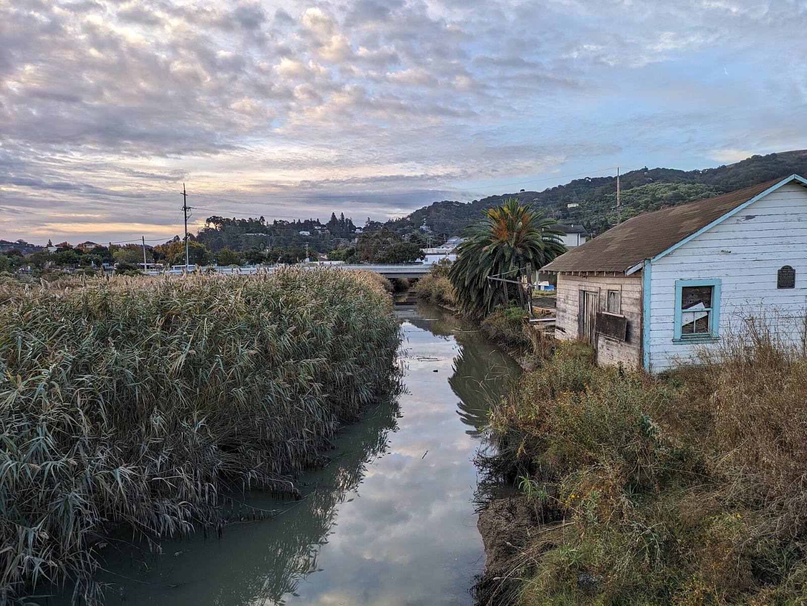 Radke Martinez Regional Shoreline on the Carquinez Strait in Martinez, California, November 2023