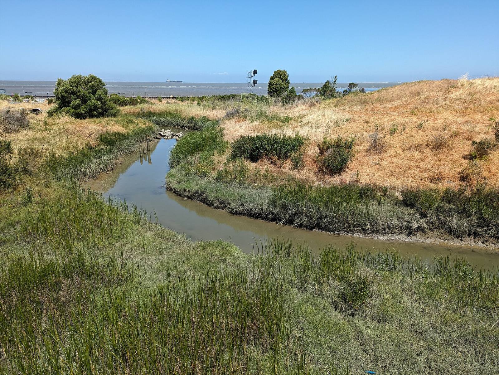 Refugio Creek near where it meets San Pablo Bay in Hercules, 2024