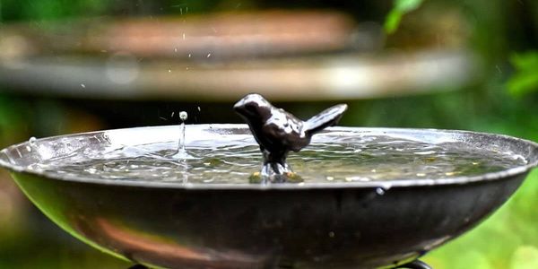 St. Joseph Statues and Other Tips To Make &hellip;