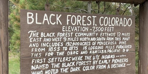 Black Forest Local Lineup