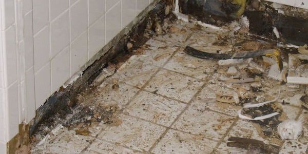 Mold in Houses - Practical Guide For Home &hellip;