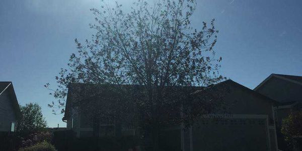 Improving Your Winter Real Estate Photos