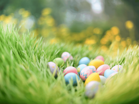 Things to Do for Easter in Colorado Springs
