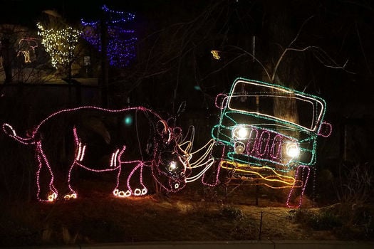 Electric Safari at Cheyenne Mountain Zoo