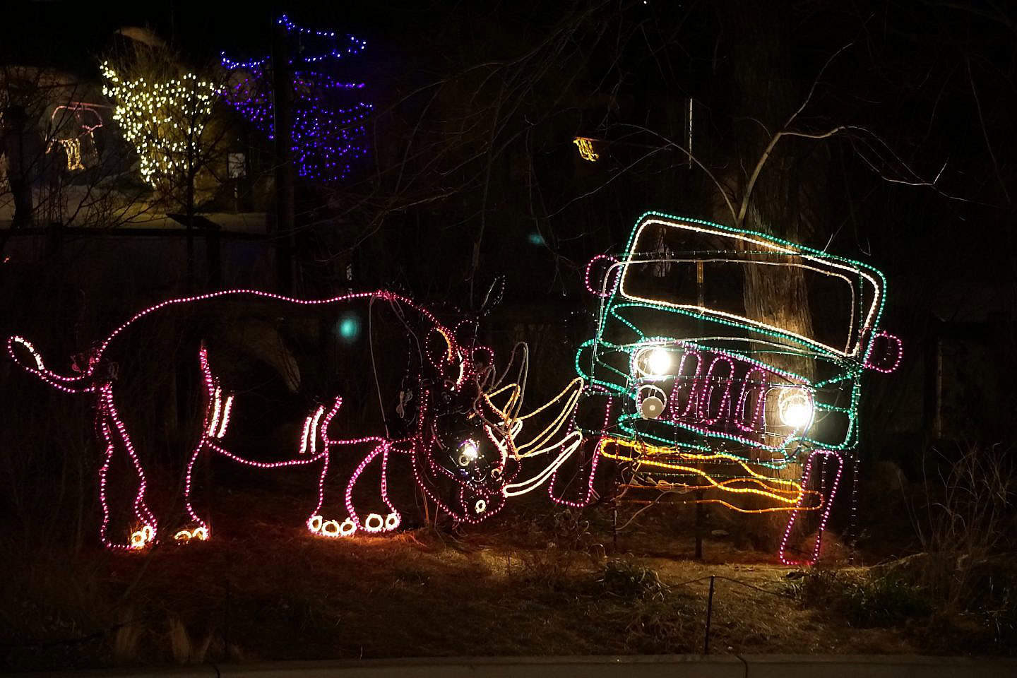 Electric Safari at Cheyenne Mountain Zoo