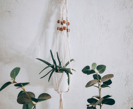 hanging-plant-macrame-holder
