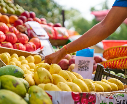 Local fruit shop with fresh mangoes
