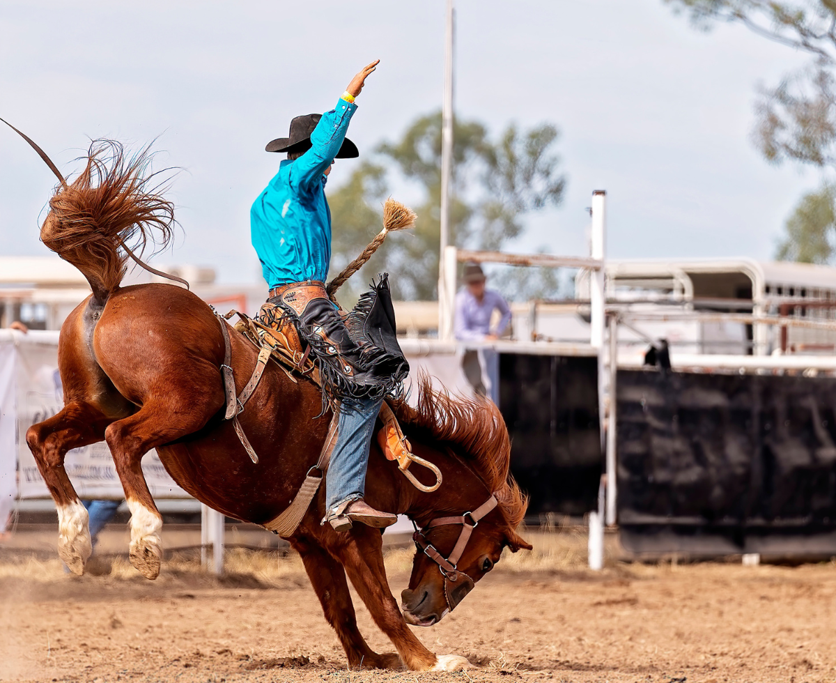 Rodeo