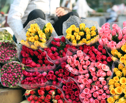 flower market