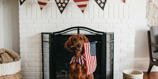 Things to do for the 4th of July …