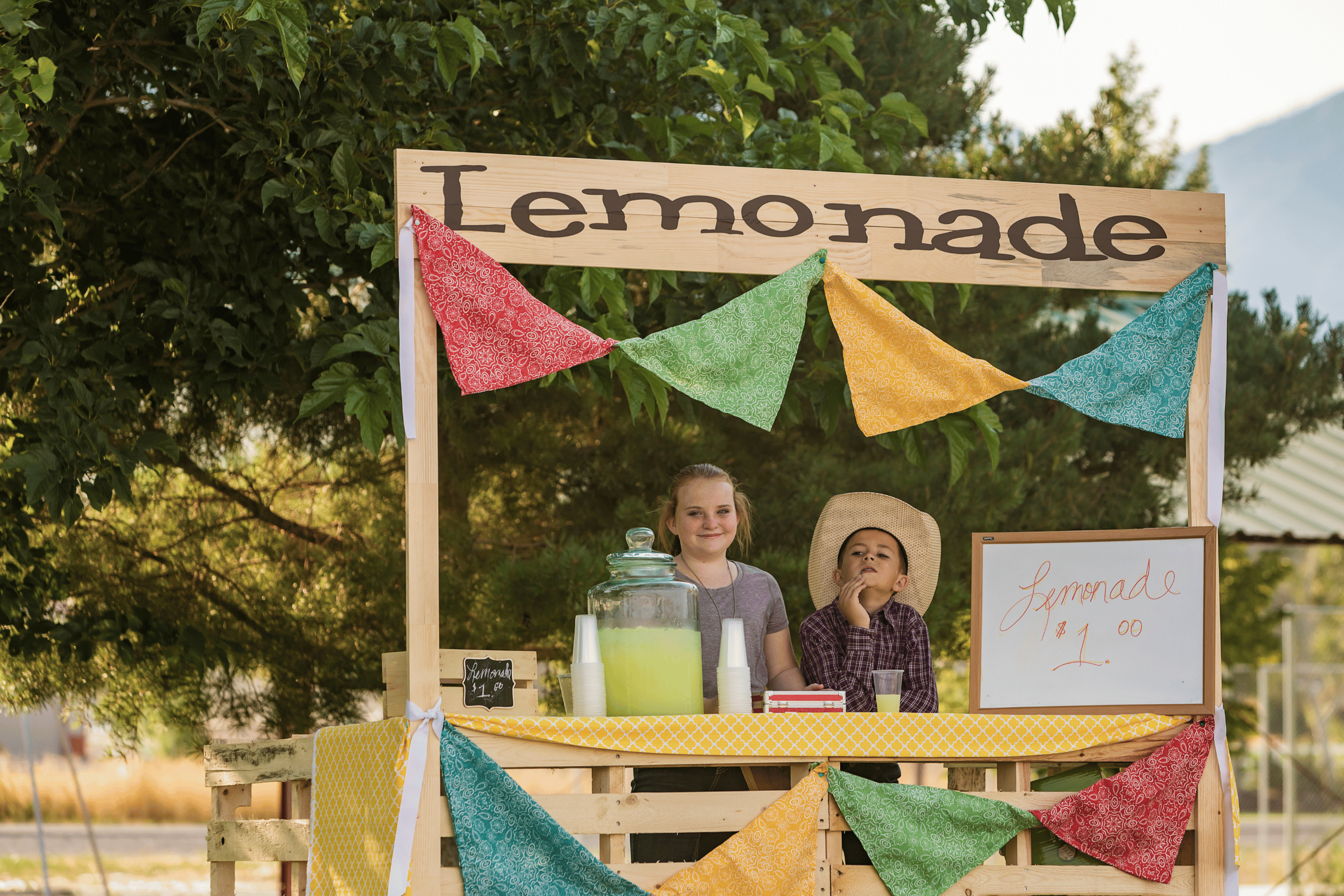 children's lemonade stand (1)