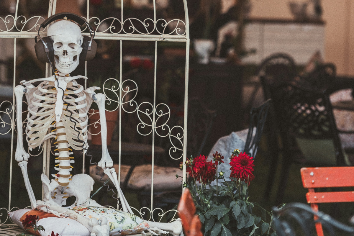 decorated skeletons storefronts