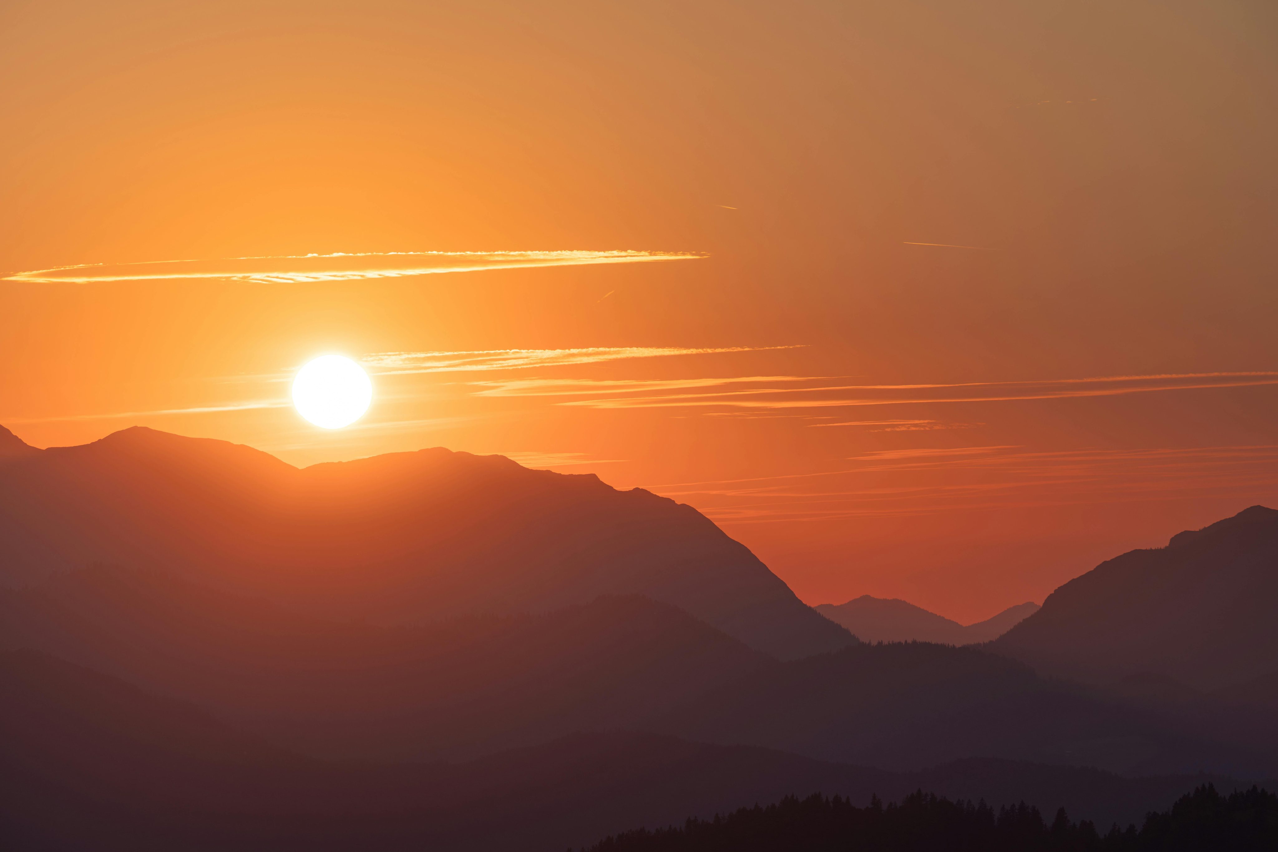 pexels-ahmetyuksek-33846784