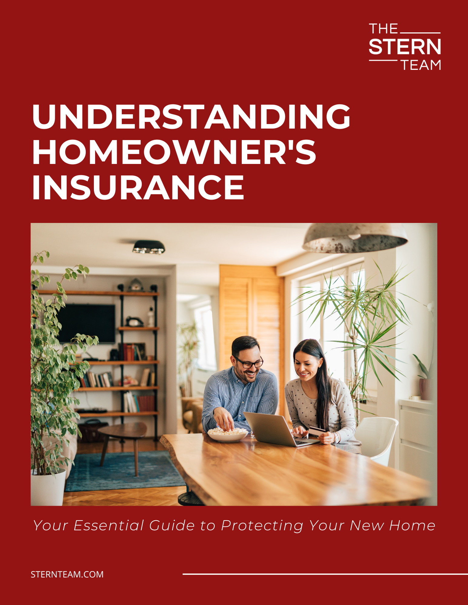 STERN EBook Understanding Homeowner's Insurance
