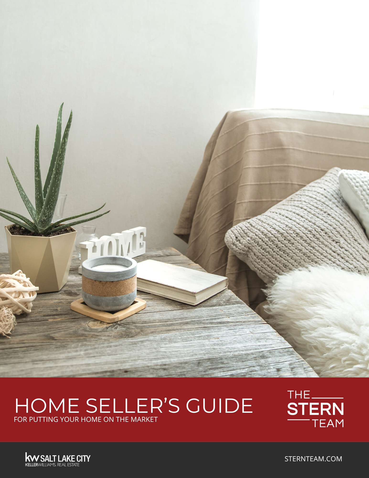 Stern EBook Seller's Guide- Dave Ramsey Solutions