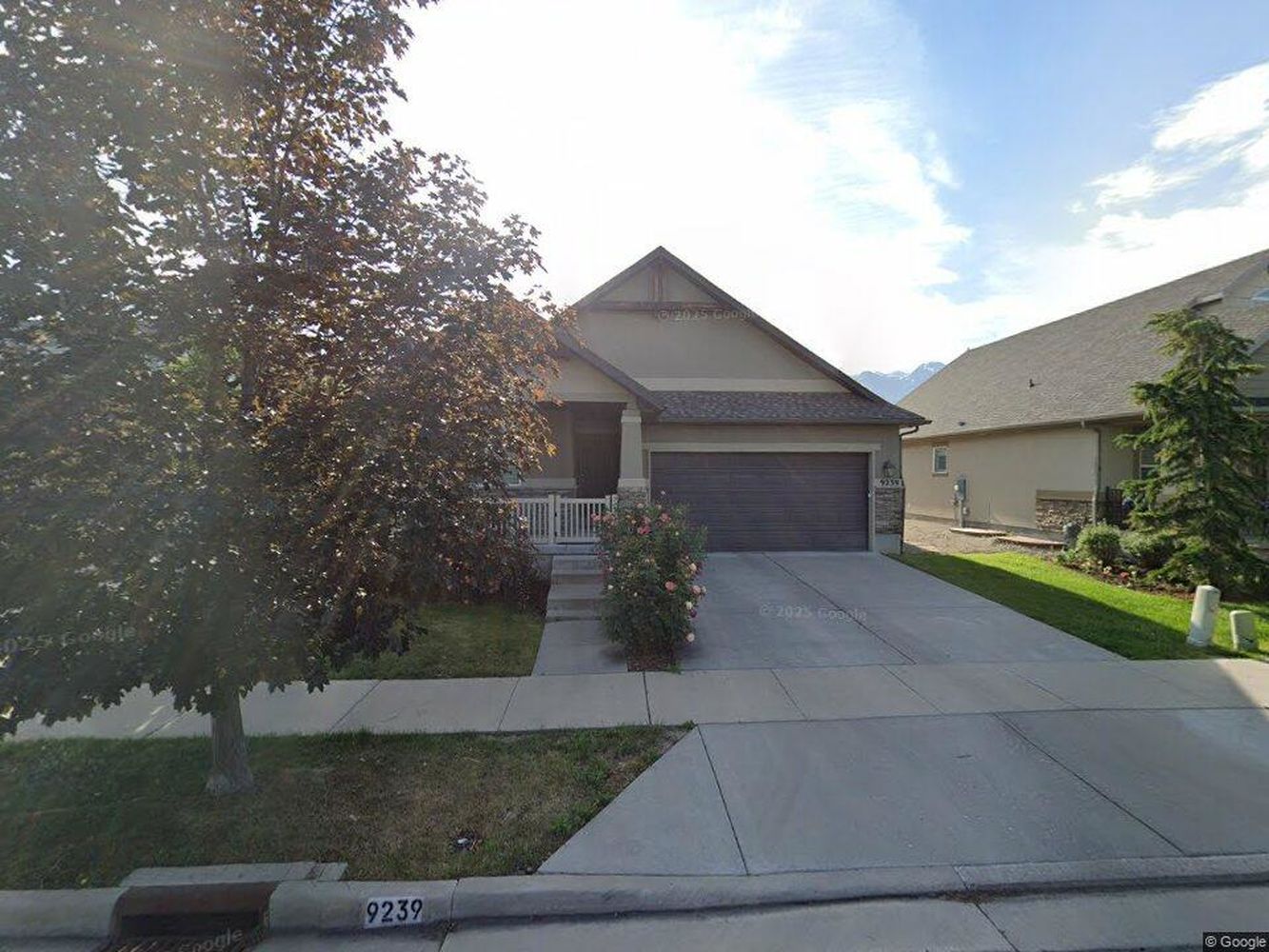 streetview (1)