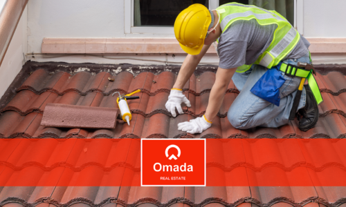 Inspection Repairs vs Credits