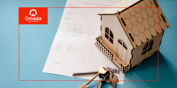 Cash Offer vs Mortgage Offer in Summer