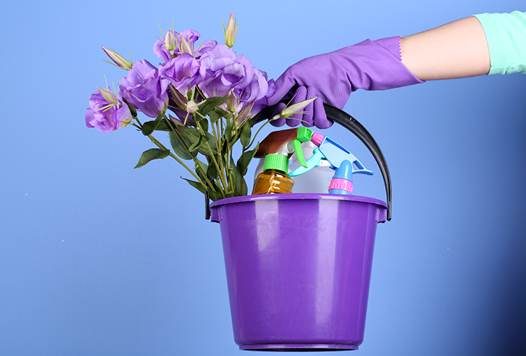 Spring Cleaning Tips for Summer Sellers