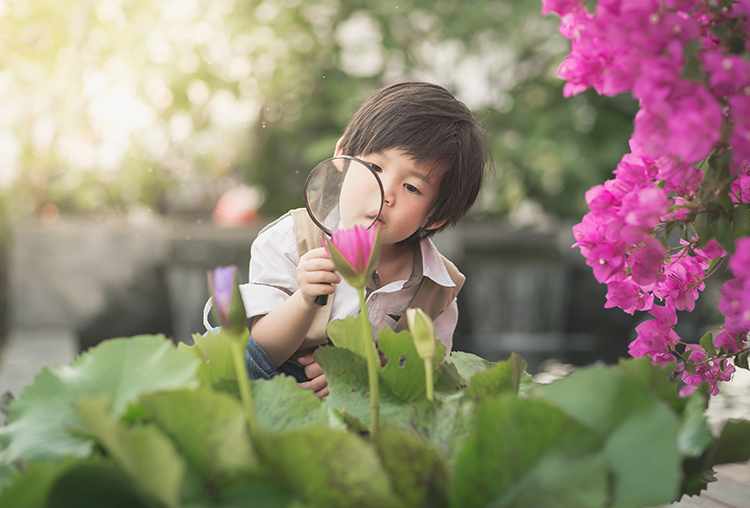 5 Things You Should Get Inspected before You Sell Your Home