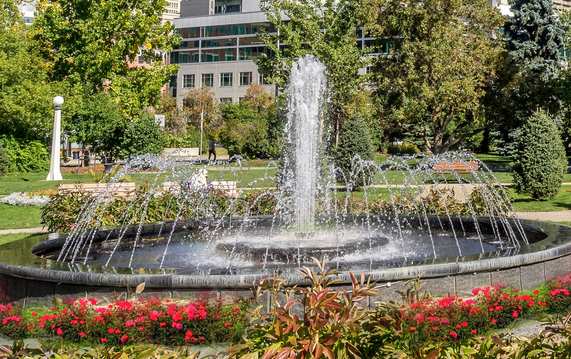 Carson Homes For Sale First Team Real Estate