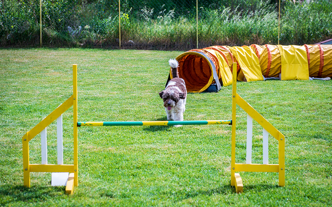 5 Mortgage Hoops You Will Need To Jump Through When Buying a House