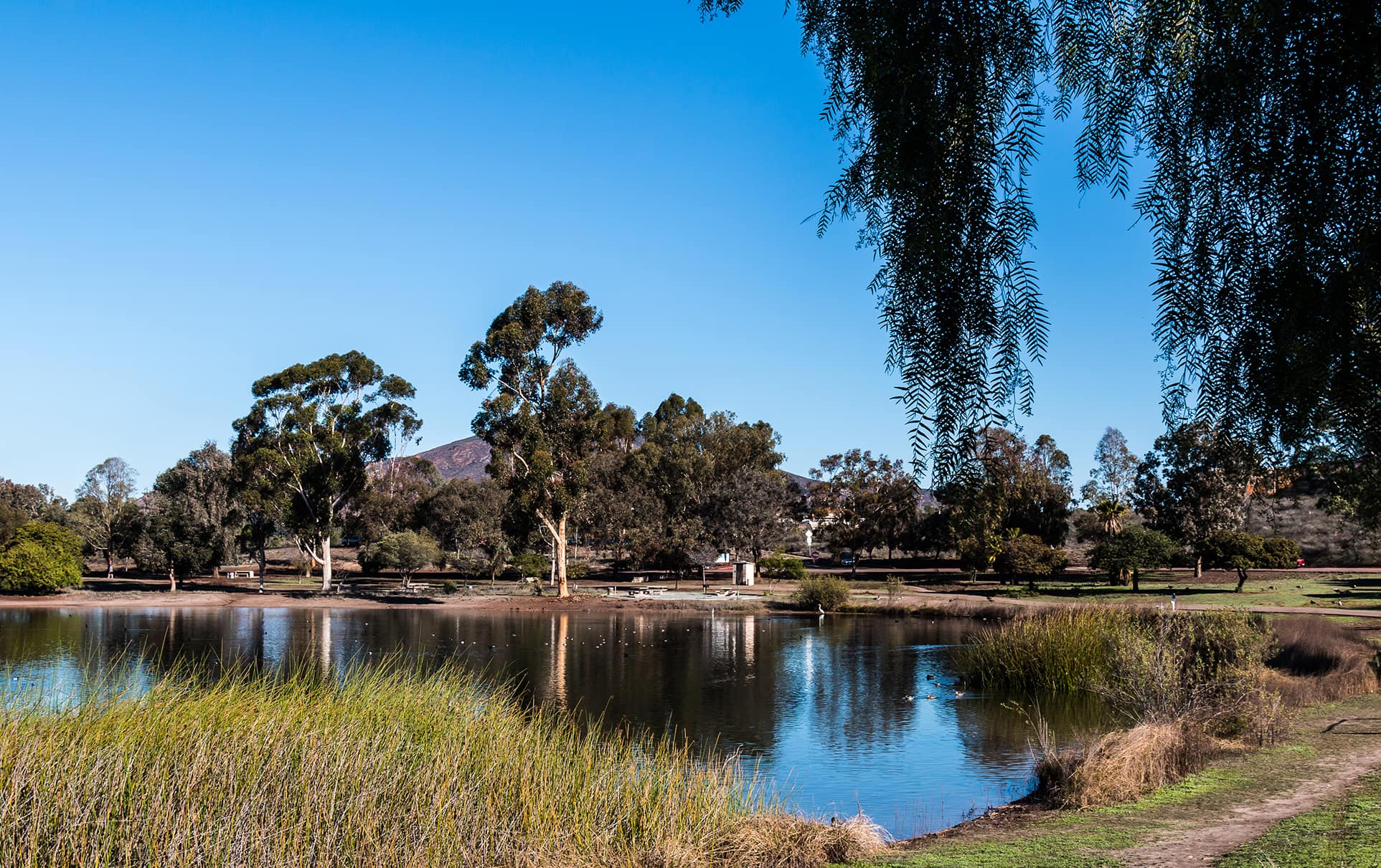 Tierrasanta - FirstTeam