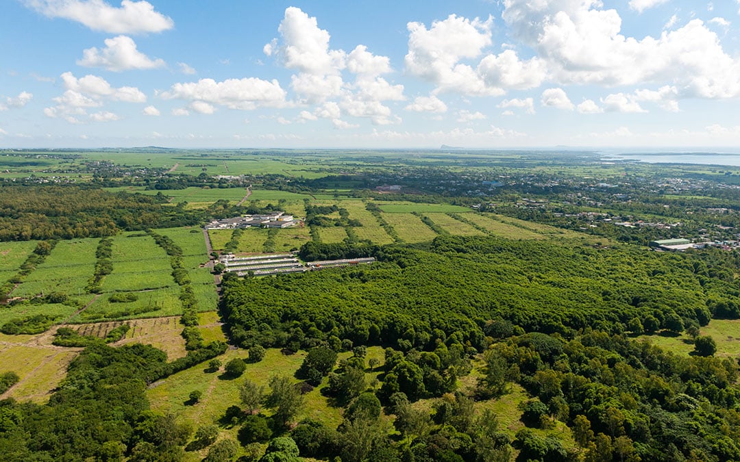 3 Must Ask Questions Before Purchasing a Land Lot