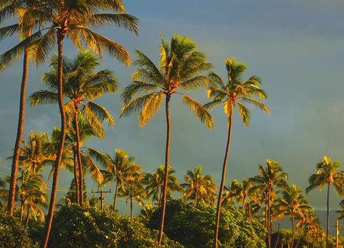 Ewa-Beach-HI-Homes-For-Sale