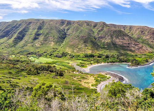 Halawa-HI-Homes-For-Sale