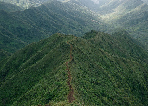 Moanalua-Valley-Trail