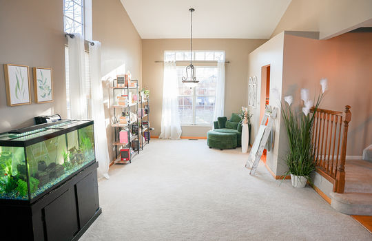 HD_1766513058661_DSC00782_Edit