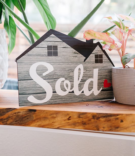 House,Sold,On,Wood,Shelf,Next,To,House,Plants