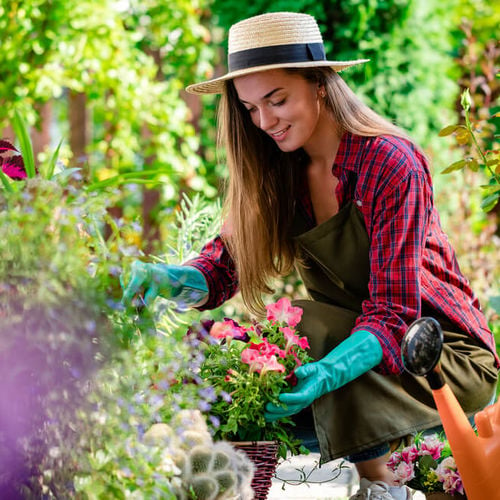 Prepare Your Home and Garden for the Spring