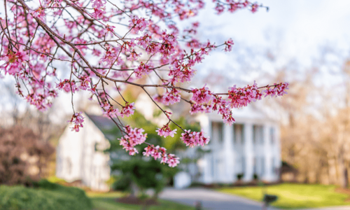 Make an Offer That Stands Out …