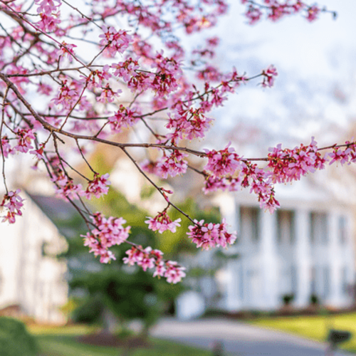 Make an Offer That Stands Out This Spring