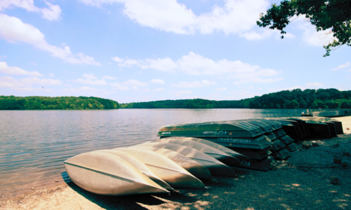 Discover the Best Neighborhoods for Summer …