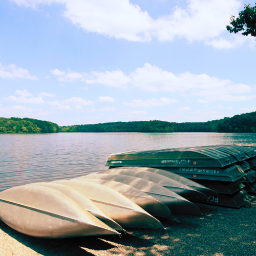Discover the Best Neighborhoods for Summer Living in NoVA