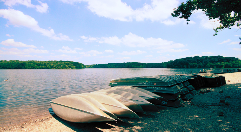 Blog image burke lake