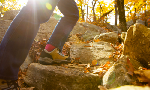 Hit the Trails: Discover the Best …