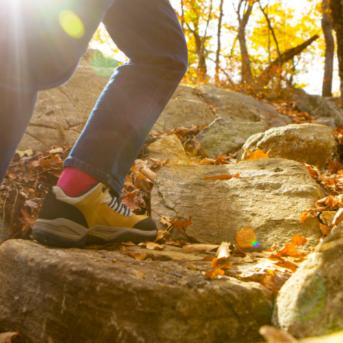 Hit the Trails: Discover the Best Summer Hikes Around Northern Virginia