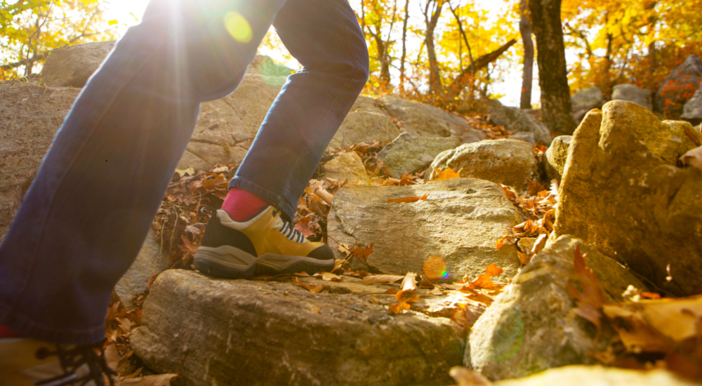 blog-hiking-debbie-dogrul-associates